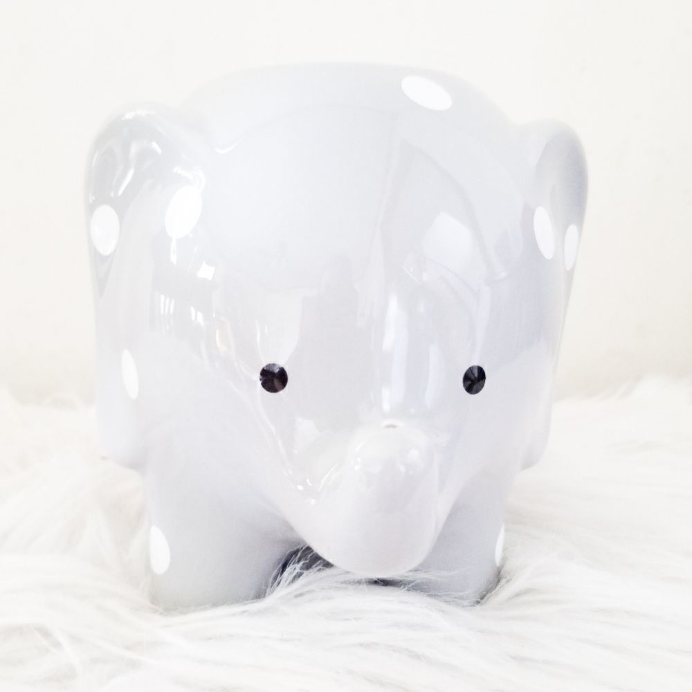 Elephant planter great for succulents